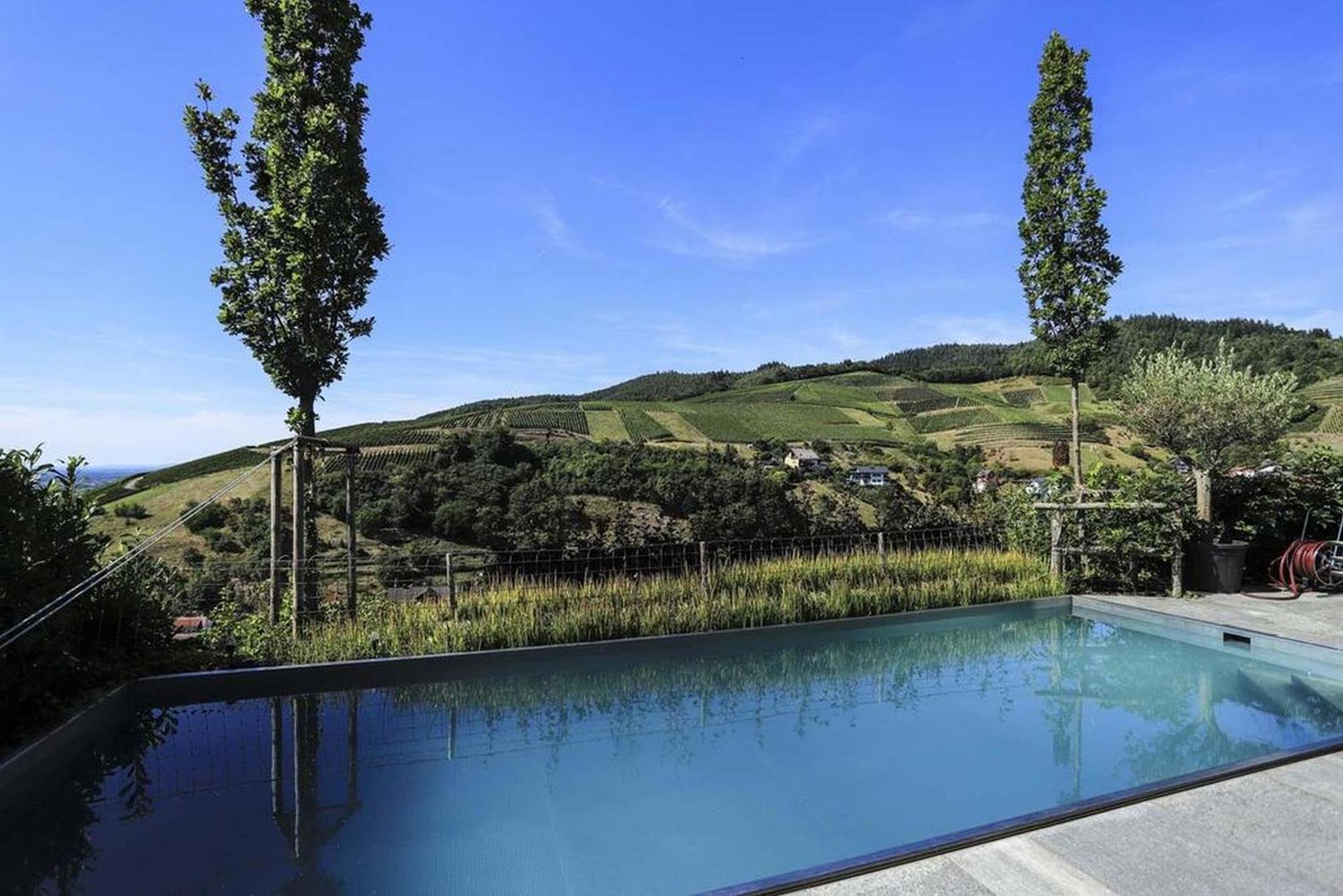 Ferienhaus Mit Panoramablick Bühlertal Kültér fotó